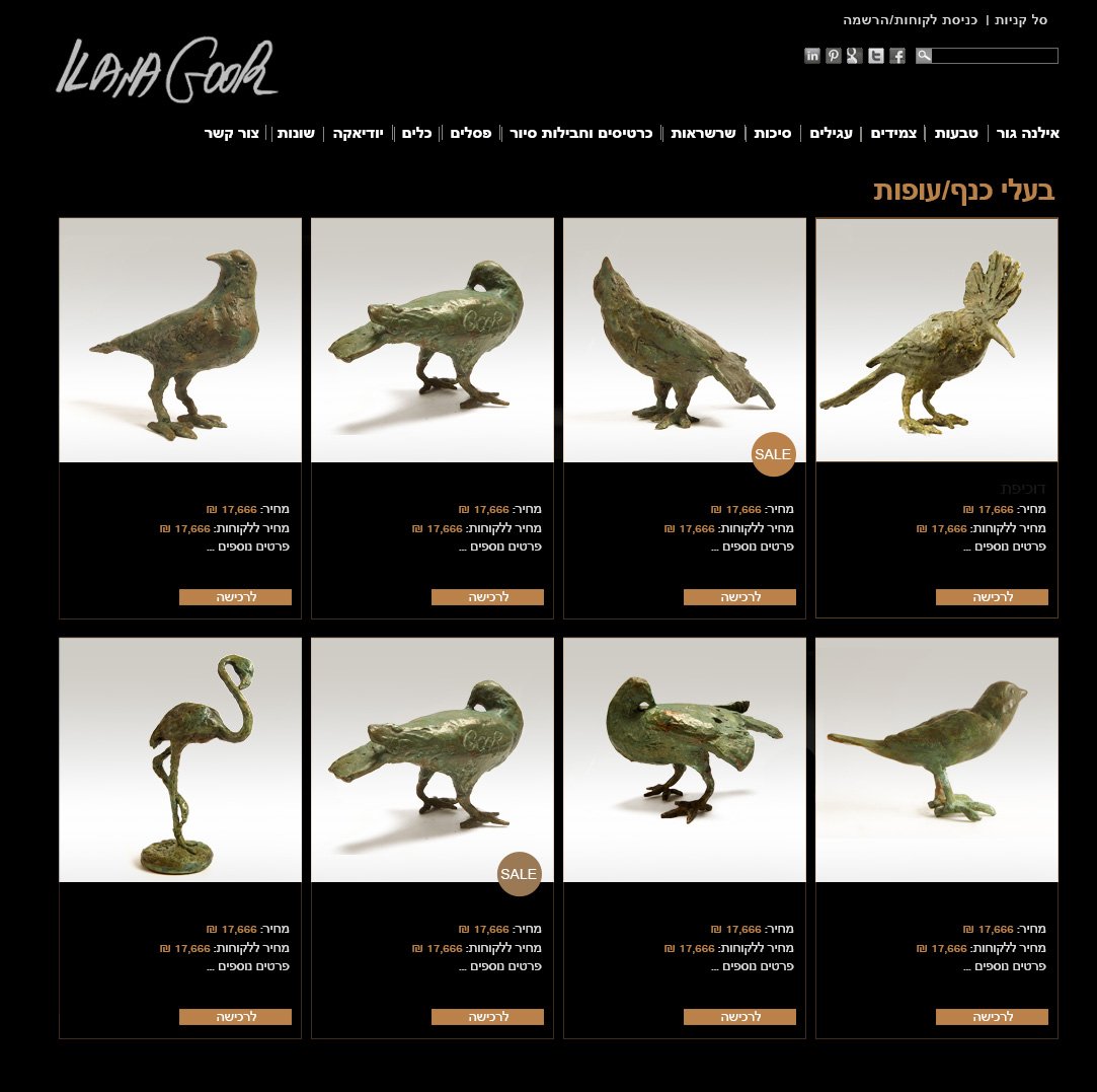 קטגורית מוצרים באתר מוזיאון אילנה גור