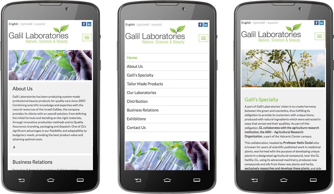 עיצוב אתרים רספונסיבים